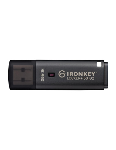MEMORY DRIVE FLASH USB3.2/256GB IKLP50G2/256GB KINGSTON