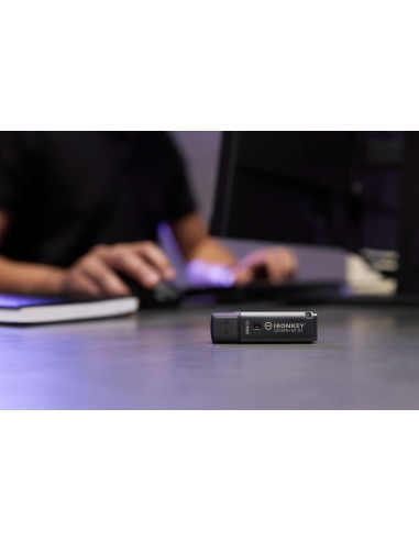 MEMORY DRIVE FLASH USB3.2/256GB IKLP50G2/256GB KINGSTON