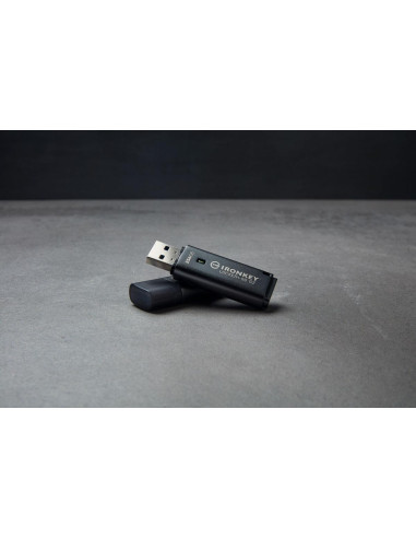 MEMORY DRIVE FLASH USB3.2/256GB IKLP50G2/256GB KINGSTON