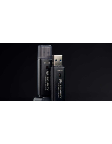 MEMORY DRIVE FLASH USB3.2/256GB IKLP50G2/256GB KINGSTON