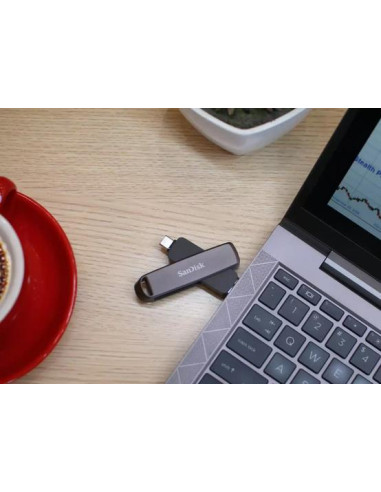 MEMORY DRIVE FLASH USB-C 1TB/SDDDE1-1T00-G46 SANDISK