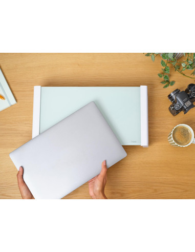 MONITOR ACC STAND MONTA/GLASS WHT 25351 TRUST