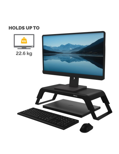 MONITOR ACC RISER HANA LT/BLACK 100016996 FELLOWES