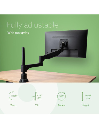 MONITOR ACC ARM CAPARO SINGLE/RGOVLCA4SI R-GO TOOLS