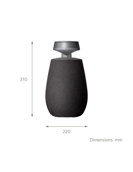 Portable Speaker, LG, XBOOM 360, Wireless, Bluetooth, XO2TBK