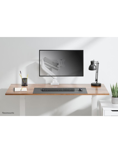 MONITOR ACC DESK MOUNT 17-42"/DS70-450WH1 NEOMOUNTS