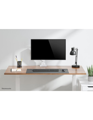 MONITOR ACC DESK MOUNT 17-42"/DS70-450WH1 NEOMOUNTS