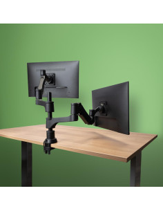 MONITOR ACC ARM CAPARO DUAL/RGOVLCA4TWSI R-GO TOOLS