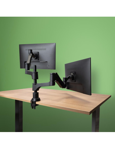MONITOR ACC ARM CAPARO DUAL/RGOVLCA4TWSI R-GO TOOLS