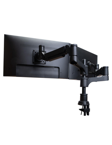 MONITOR ACC ARM CAPARO DUAL/RGOVLCA4TWSI R-GO TOOLS