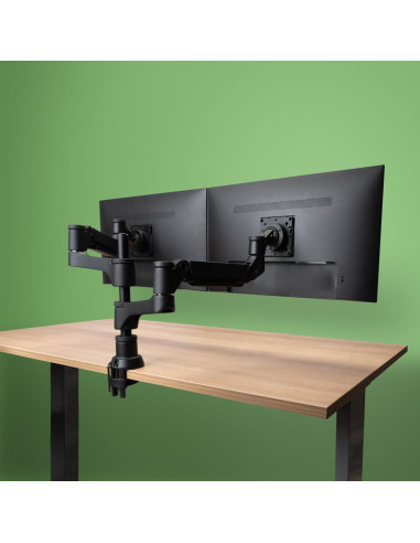 MONITOR ACC ARM CAPARO DUAL/RGOVLCA4TWSI R-GO TOOLS