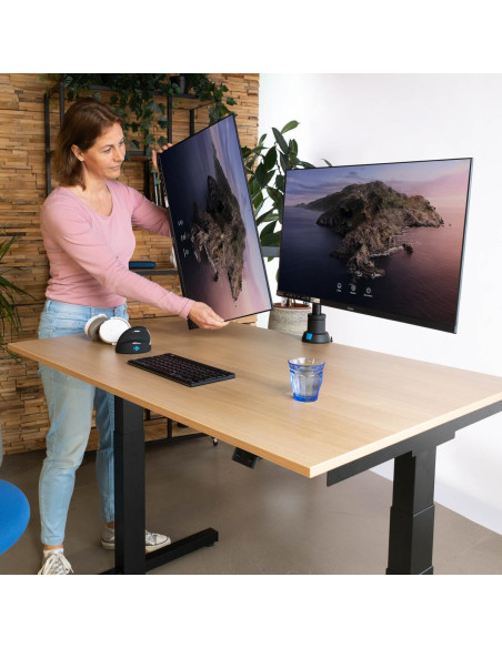 MONITOR ACC ARM CAPARO DUAL/RGOVLCA4TWSI R-GO TOOLS