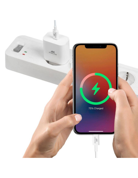 MOBILE CHARGER WALL/WHITE PS4101 W00 RIVACASE