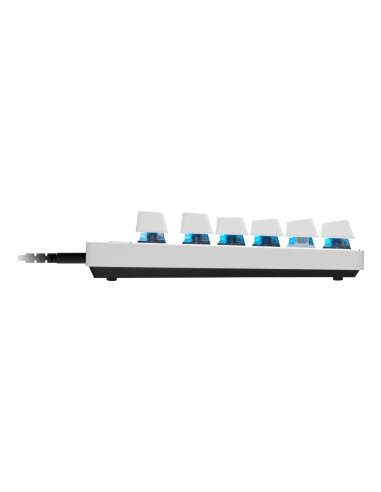 KEYBOARD PRO X TKL RAPID/ENG WHITE 920-013242 LOGITECH