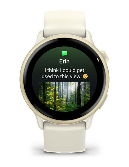 SMARTWATCH VIVOACTIVE 6/LUNAR GOLD 010-02985-01 GARMIN