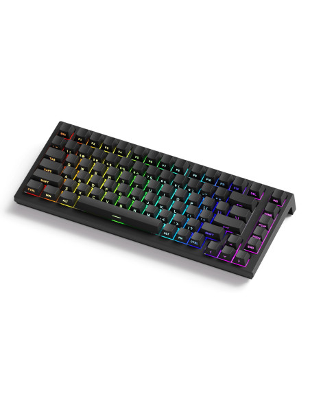 KEYBOARD USB-C TAC75/BLACK 6978414652983 AKKO