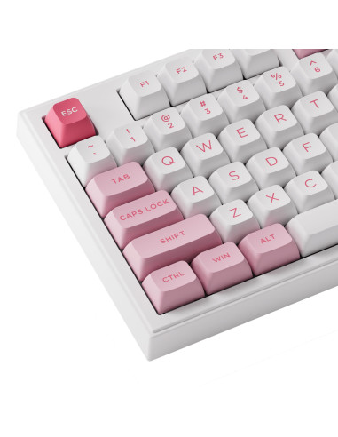 KEYBOARD WRL 5098B PRUNUS/LANNESIANA 6925758630924 AKKO