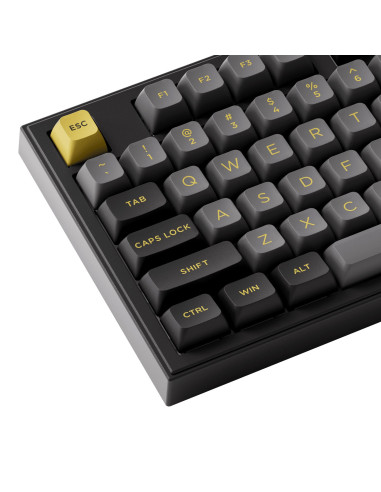 KEYBOARD WRL 5098B PLUS/BLACK/GOLD 6925758630917 AKKO