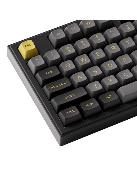 KEYBOARD WRL 5098B PLUS/BLACK/GOLD 6925758630917 AKKO