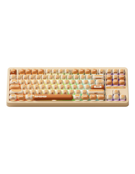 KEYBOARD WRL TAC87/BUN WONDER. 103-TA87B-009 AKKO