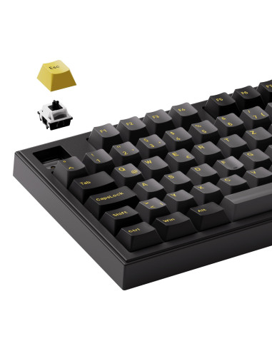 KEYBOARD WRL 5098B/BLACK/GOLD 6925758631921 AKKO