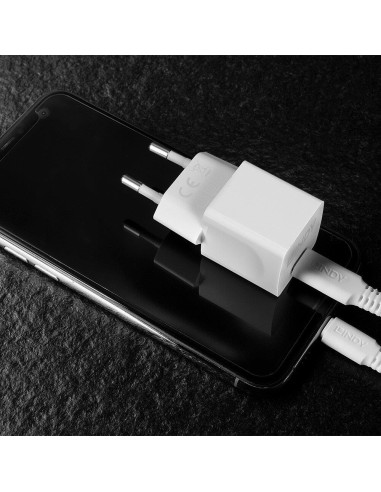 CHARGER WALL 20W/73410 LINDY
