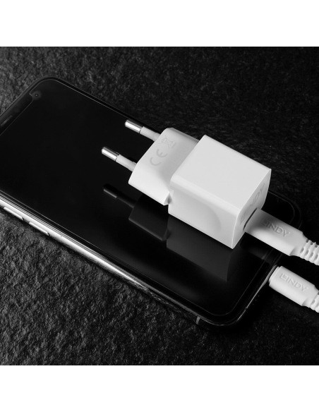 CHARGER WALL 20W/73410 LINDY