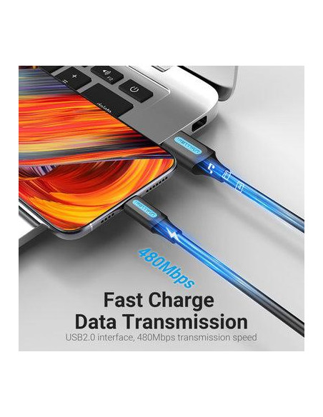 CABLE USB-C TO USB2.0/1M PVC BLACK CORBF VENTION