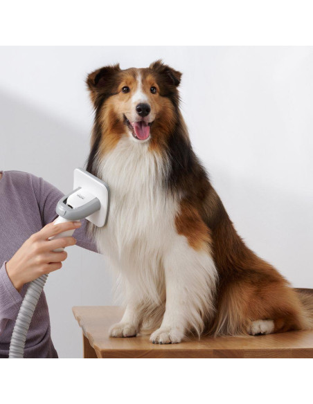 Vacuum Cleaner, DREAME, Mova G1 Pro Pet Grooming Kit, Dust capacity 1 L, Cleaning type Dry, Colour White, PHC10A