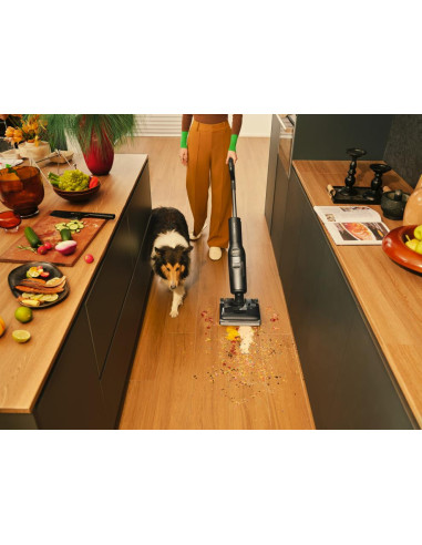 Vacuum Cleaner, ROBOROCK, F25, Canister/Cordless/Bagless, Black, Weight 4.2 kg, WD5M1A522-00