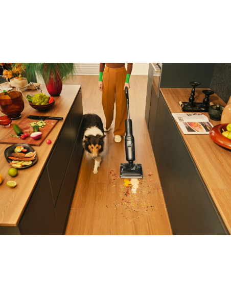 Vacuum Cleaner, ROBOROCK, F25, Canister/Cordless/Bagless, Black, Weight 4.2 kg, WD5M1A522-00