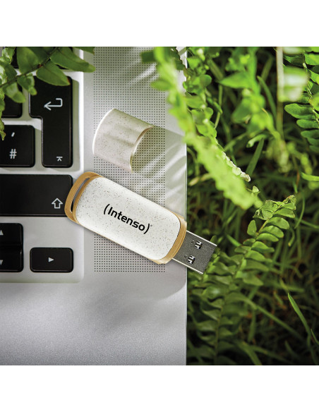 MEMORY DRIVE FLASH USB3.2 64GB/3540490 INTENSO