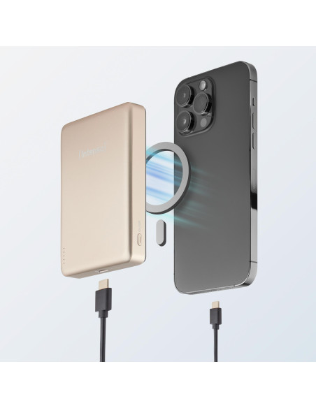 POWER BANK USB 10000MAH MAG/CHAMPAGNE 7344031 INTENSO