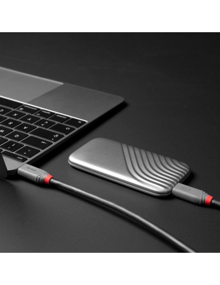 CABLE USB4 240W TYPE C 1.5M/40GBPS ANTHRA LINE 36957 LINDY