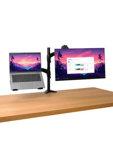 MONITOR ACC ARM DUAL/MARA 25337 TRUST