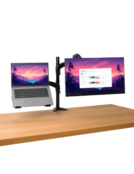 MONITOR ACC ARM DUAL/MARA 25337 TRUST
