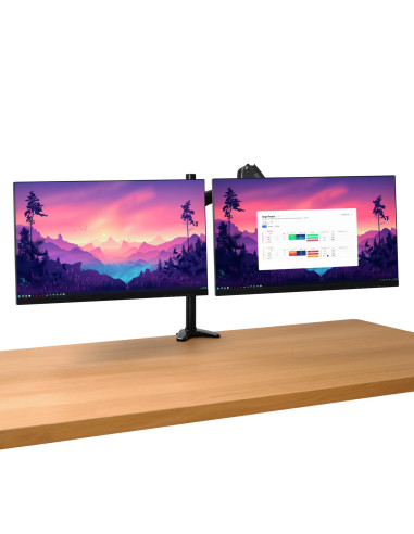MONITOR ACC ARM DUAL/MARA 25337 TRUST