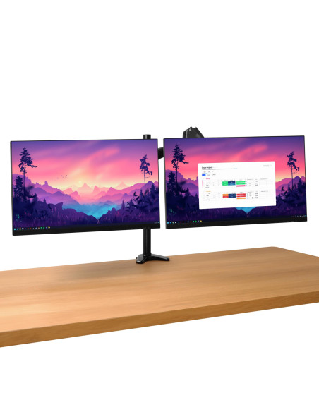MONITOR ACC ARM DUAL/MARA 25337 TRUST