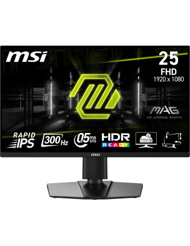 LCD Monitor, MSI, 24.5 ", 1920 x 1080 pixels, Full HD, Native aspect ratio 16:9, Flat, MAG255PXF
