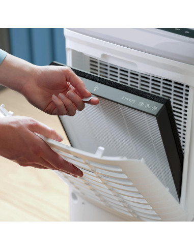 DEHUMIDIFIER & AIR PURIFIER/DE5305/11 PHILIPS