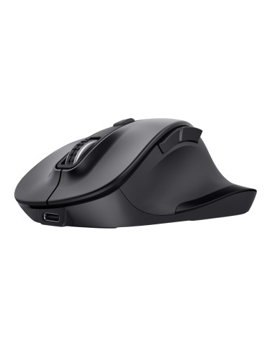 MOUSE USB OPTICAL WRL/FYDA 25708 TRUST