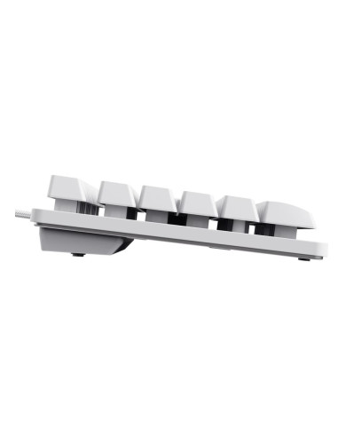 KEYBOARD USB GXT 833W THADO/TKL ENG WHITE 25894 TRUST