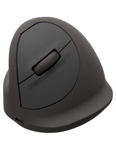 MOUSE USB OPTICAL WRL VERTICAL/ERGO+ M L 100143583 FELLOWES
