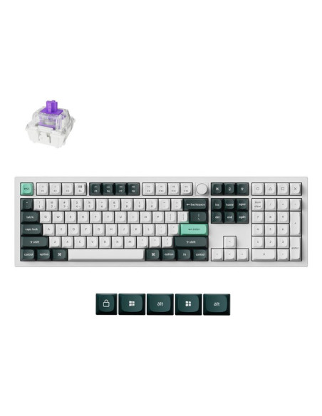 KEYBOARD WRL Q6 HE RGB/SHELL WHITE Q6H-P1 KEYCHRON