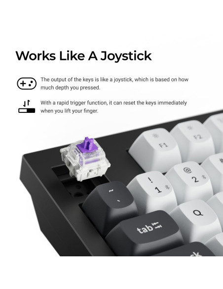 KEYBOARD WRL Q5 HE RGB/SHELL WHITE Q5H-P1 KEYCHRON
