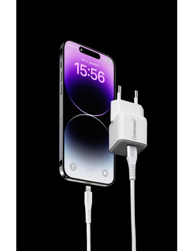 POWER ADAPTER USB-C GAN +C315L/7803052 INTENSO