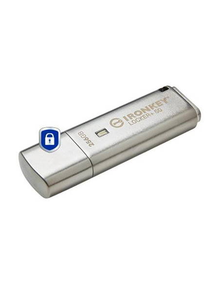 MEMORY DRIVE FLASH USB3.2/256GB IKLP50/256GB KINGSTON