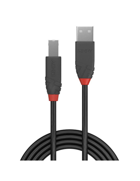 CABLE USB2 A-B 2M/ANTHRA 36673 LINDY
