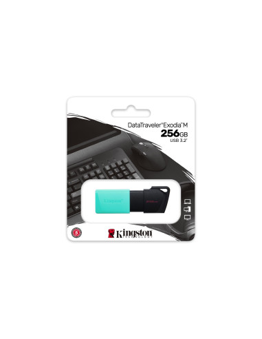 MEMORY DRIVE FLASH USB3.2/256GB DTXM/256GB KINGSTON