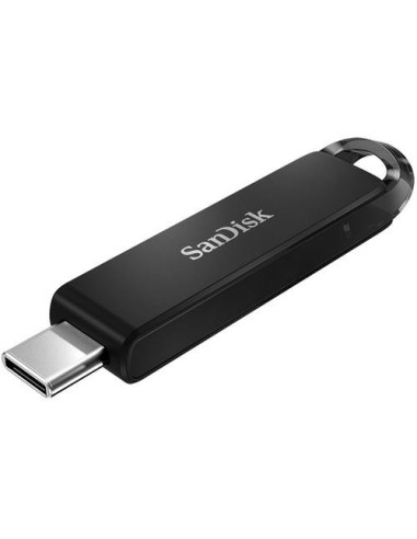 MEMORY DRIVE FLASH USB-C 256GB/SDCZ460-256G-G46 SANDISK